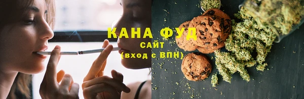 первитин Дмитриев