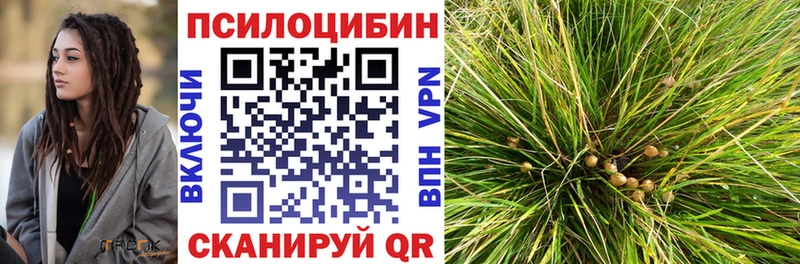 Галлюциногенные грибы Cubensis  Приморск 